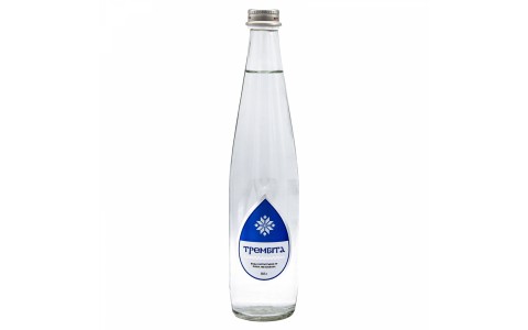 Вода Трембита б/газу 0,5 л скло
